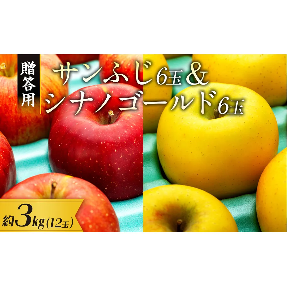 贈答用りんご サンふじ シナノゴールド 約3kg 12玉 (各6玉) りんご リンゴ 林檎 信州りんご 信濃ゴールド 果物 フルーツ 旬の果物 旬のフルーツ デザート 贈答用 ギフト 贈り物 プレゼント 長野 長野県 箕輪町