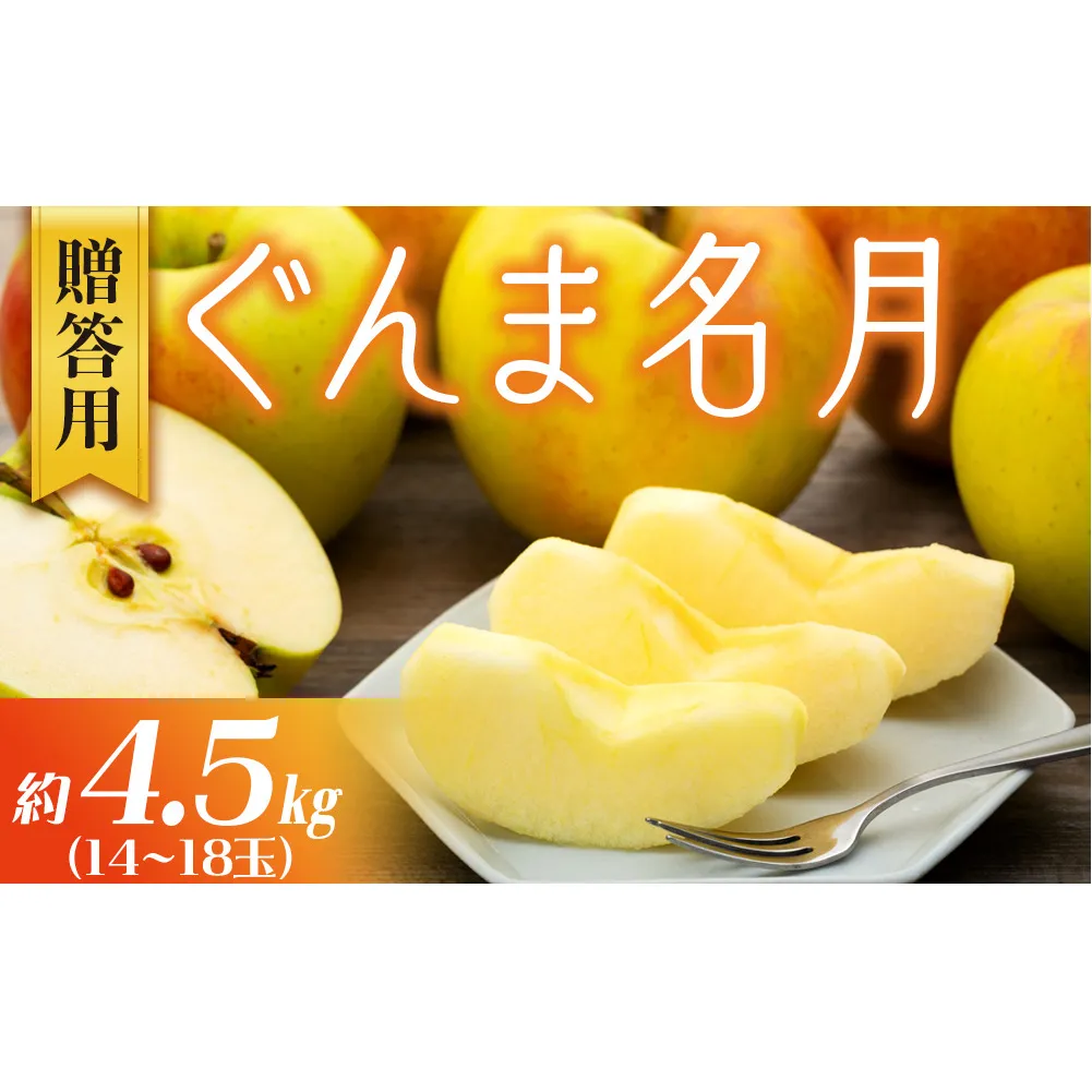 りんご ぐんま名月 4.5kg 14～18玉 贈答用 果物 くだもの フル?ツ 林檎 リンゴ ぐんま名月りんご 信州りんご 旬の果物 旬のフルーツ ギフト 贈り物 プレゼント 長野 長野県 箕輪町