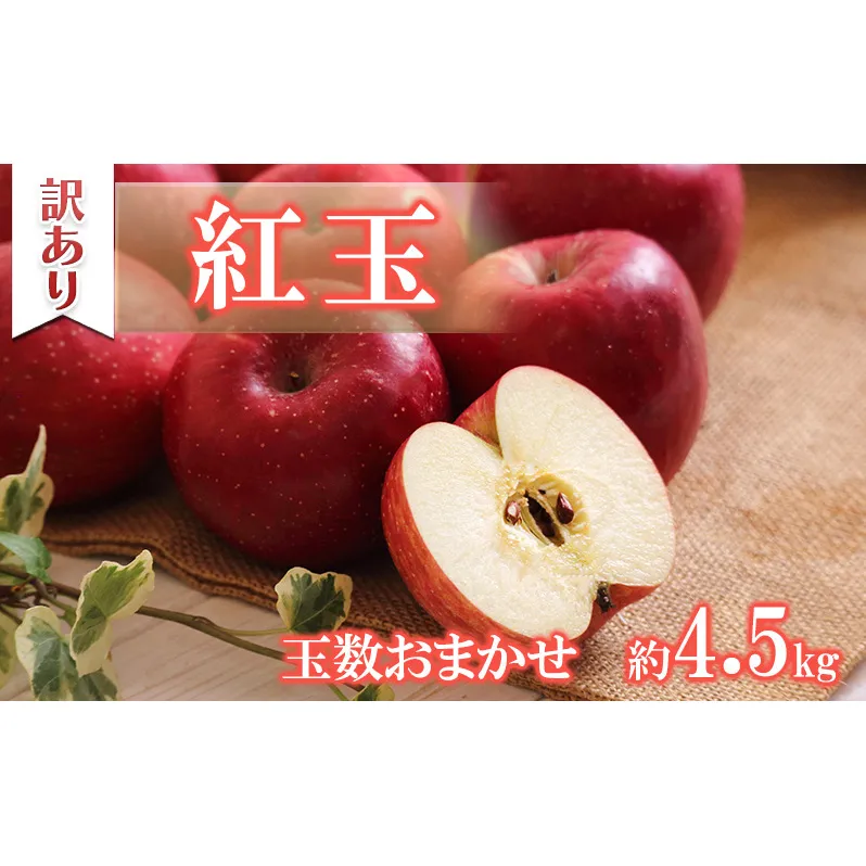 訳ありりんご 紅玉 約4.5kg 玉数おまかせ 小玉 りんご リンゴ 林檎 信州りんご 紅玉りんご 果物 フルーツ 旬の果物 旬のフルーツ デザート お菓子作り 訳あり 訳アリ 長野 長野県 箕輪町