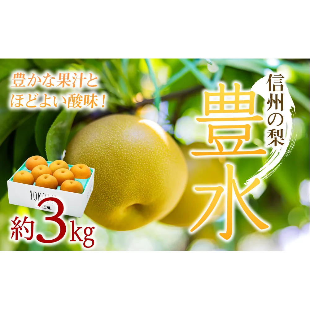 【2026年/令和8年発送分 】梨 長野 豊水 約 3kg 信州の梨 水分たっぷりジューシーな梨です フルーツ 果物 デザート なし ナシ ほうすい ホウスイ 産地直送 長野県 信州産