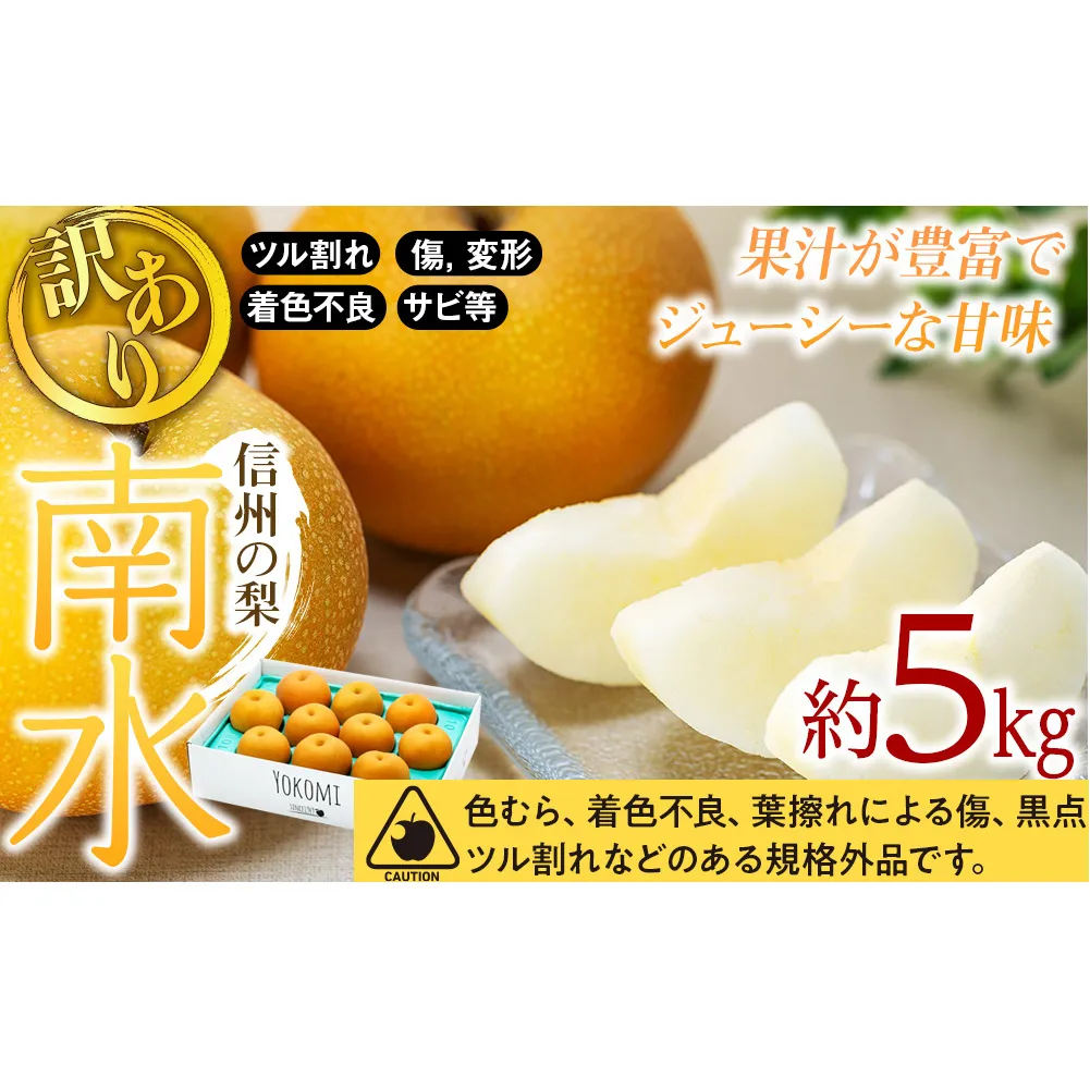 【2026年/令和8年度発送分 】 訳あり 梨 長野 南水 約 5kg 信州の梨 フルーツ 果物 デザート おやつ なし ナシ なんすい ナンスイ 産地直送 長野県 長野県産 信州産 長野県箕輪町
