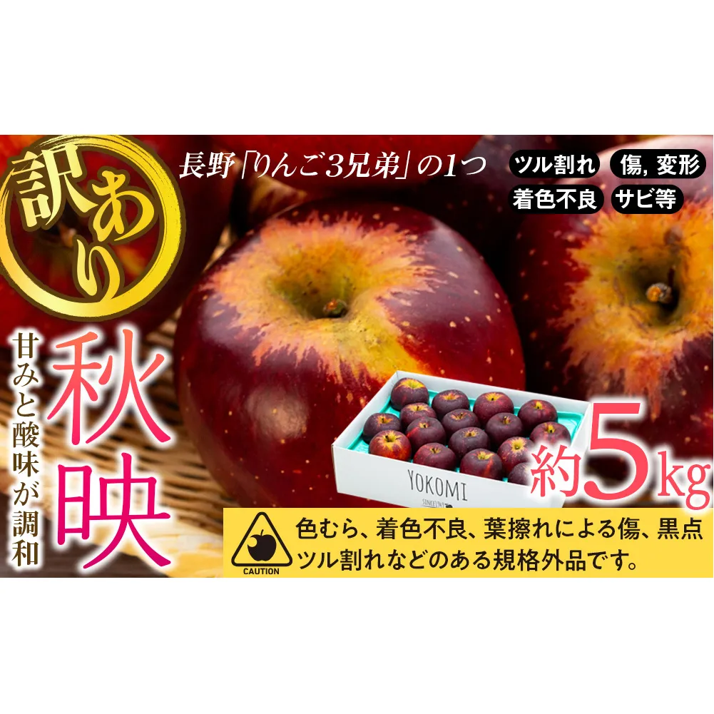 【2026年/令和8年度発送分 】訳あり 信州のりんご 秋映 約 5kg りんご リンゴ 林檎 長野 フルーツ 果物 信州産 長野県産 特産 産地直送 おすすめ