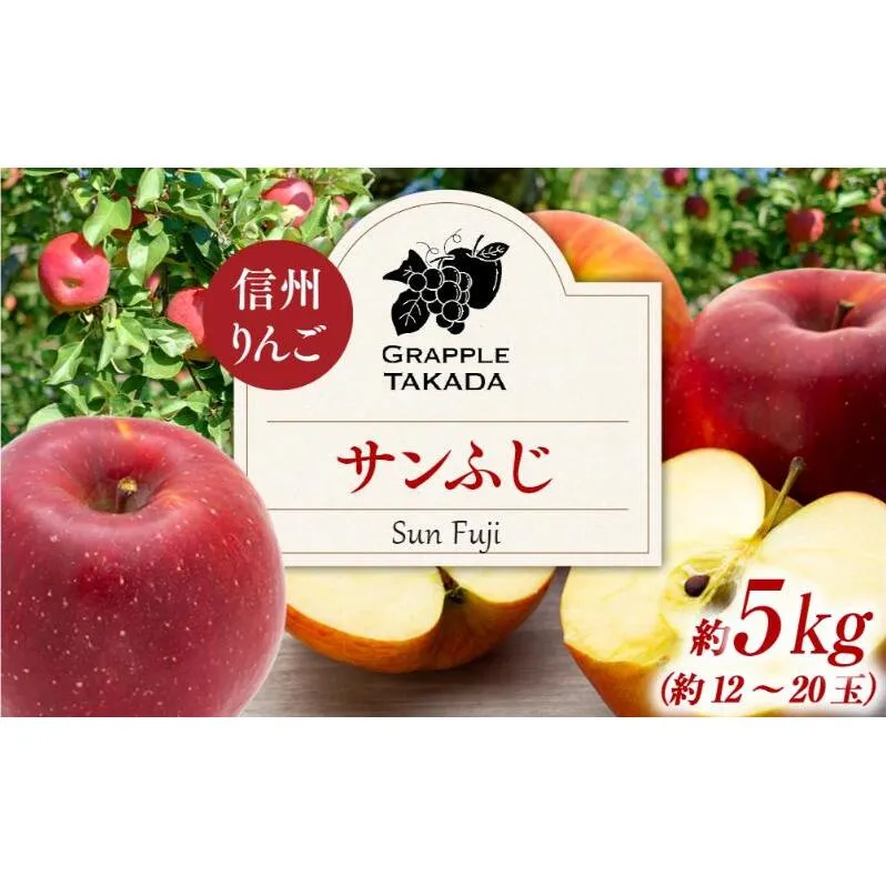 信州りんご サンフジ 約5kg 果物 フルーツ 果物類 林檎 リンゴ
