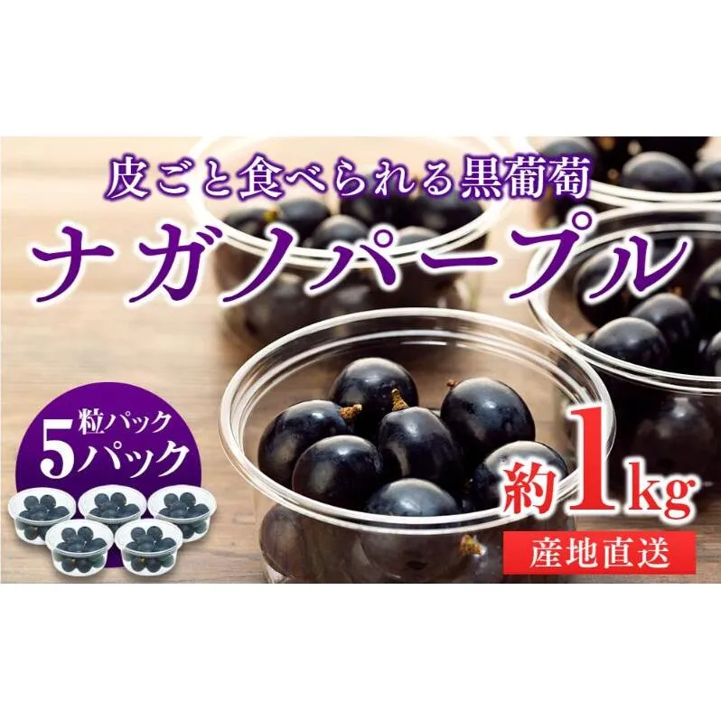 ぶどう ナガノパープル 粒パック 約1kg 皮ごと食べられる黒葡萄 葡萄 ぶどう ブドウ 長野 フルーツ 果物 信州産 長野県産 特産 産地直送 おすすめ デザート