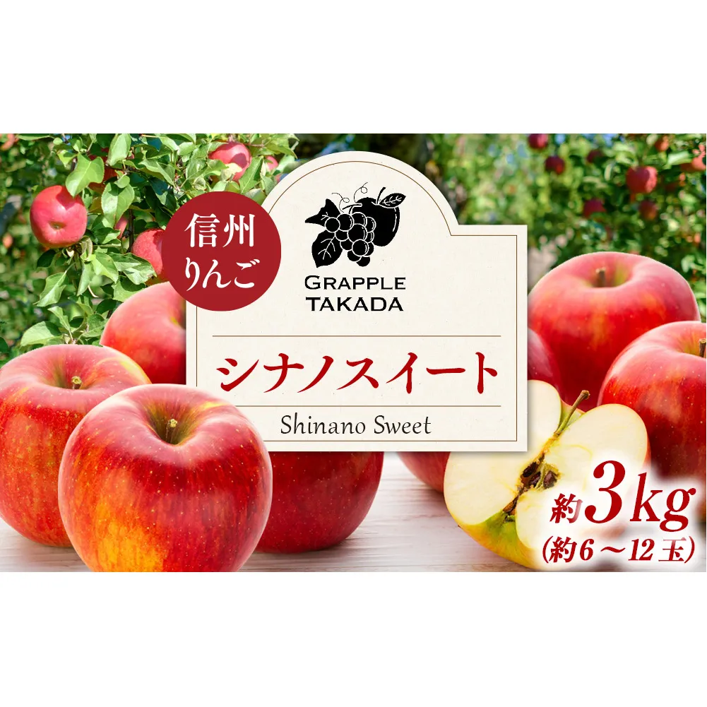 信州りんご シナノスイート 3kg ※クレジット決済限定 りんご リンゴ 林檎 長野 フルーツ 果物 信州産 長野県産 特産 産地直送 おすすめ  