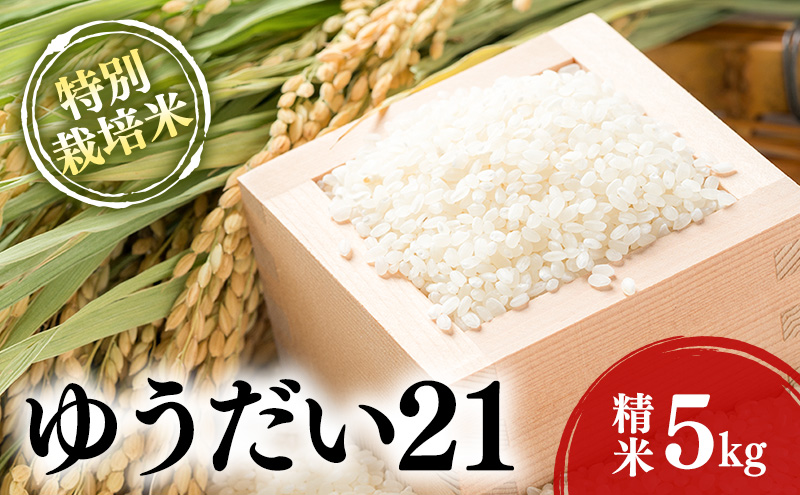 ゆうだい21、にじのきらめき【食べくらべセット】白米 5kg×2 ゆうだい21、にじのきらめき【食べくらべセット】白米 5kg×2 ゆうだい