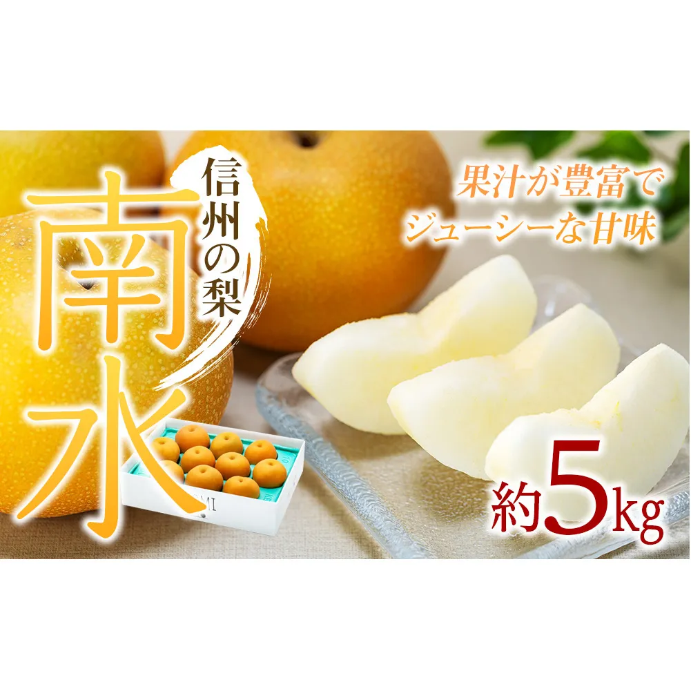 梨 南水 約5kg 2026年 令和8年発送分 信州の梨 フルーツ 果物 デザート なし ナシ なんすい ナンスイ 産地直送 長野県 信州産
