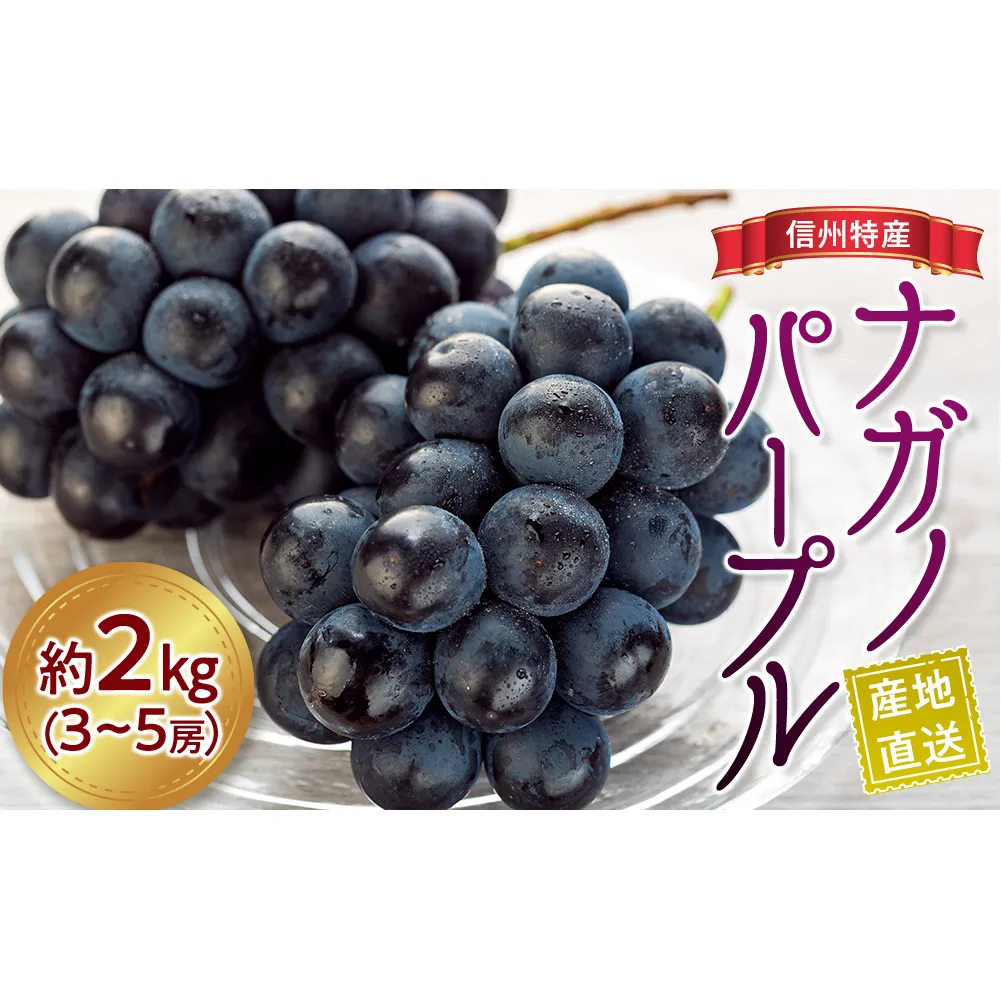 ぶどう ナガノパープル 2kg 3～5房 フルーツ 果物 旬の果物 旬のフルーツ 種なし 葡萄