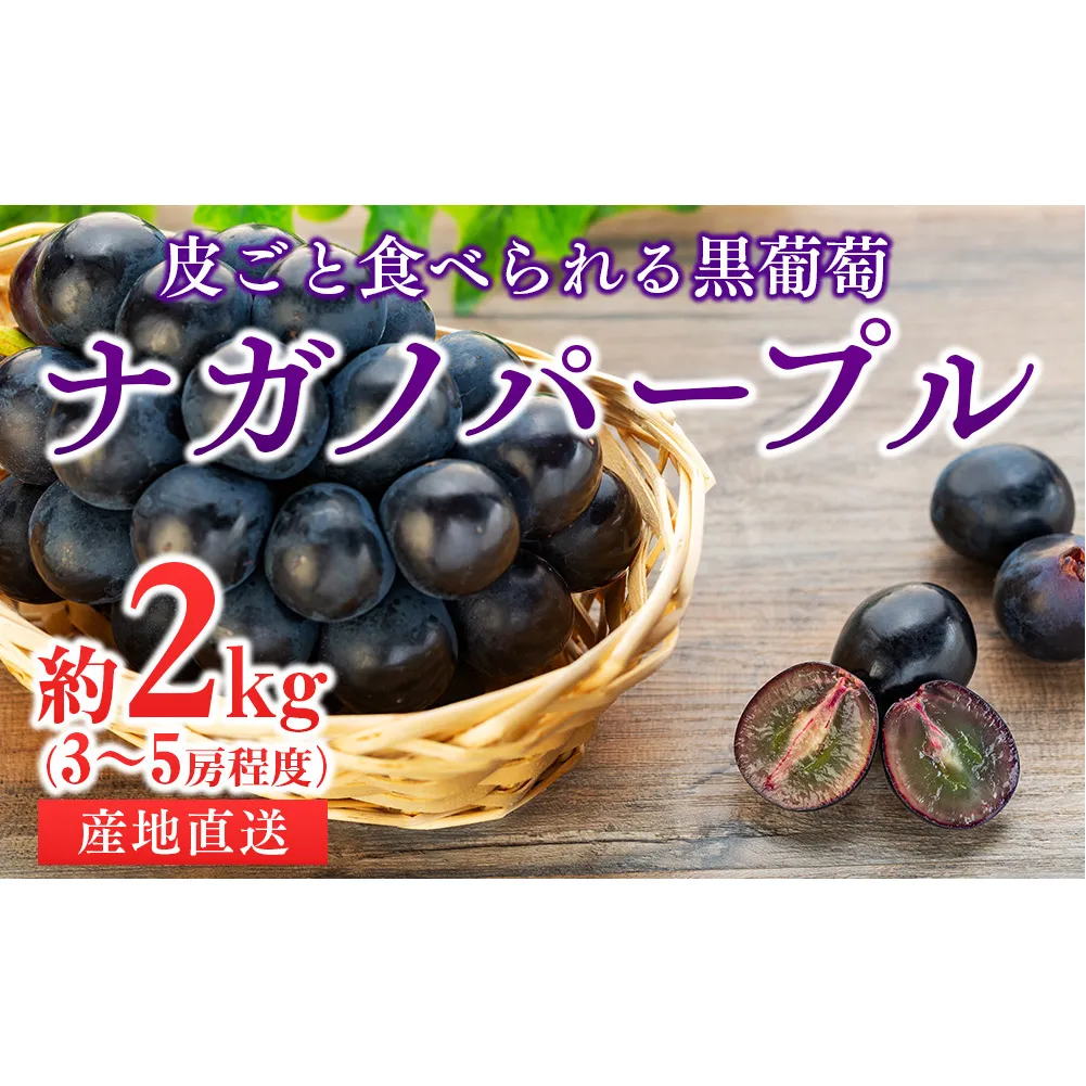 ぶどう 皮ごと食べられる 黒ぶどう ナガノパープル 約2kg フルーツ ※クレジット限定