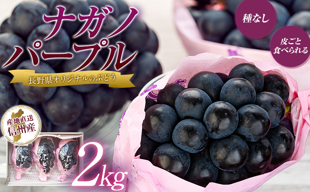 パープル　2キロ ぶどう ナガノパープル 2kg 葡萄 ブドウ 長野パープル 果物