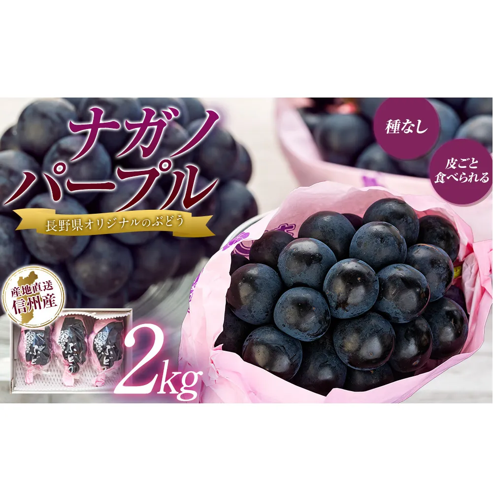 ぶどう ナガノパープル 2kg 葡萄 ブドウ 長野パープル 果物 くだもの フルーツ 旬の果物 旬のフルーツ 信州 長野 長野県 