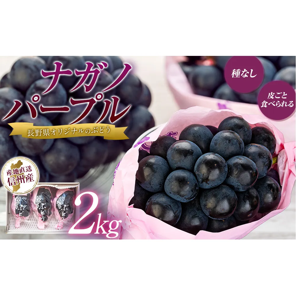 ぶどう ナガノパープル 2kg 葡萄 ブドウ 長野パープル 果物 くだもの フルーツ 旬の果物 旬のフルーツ 信州 長野 長野県