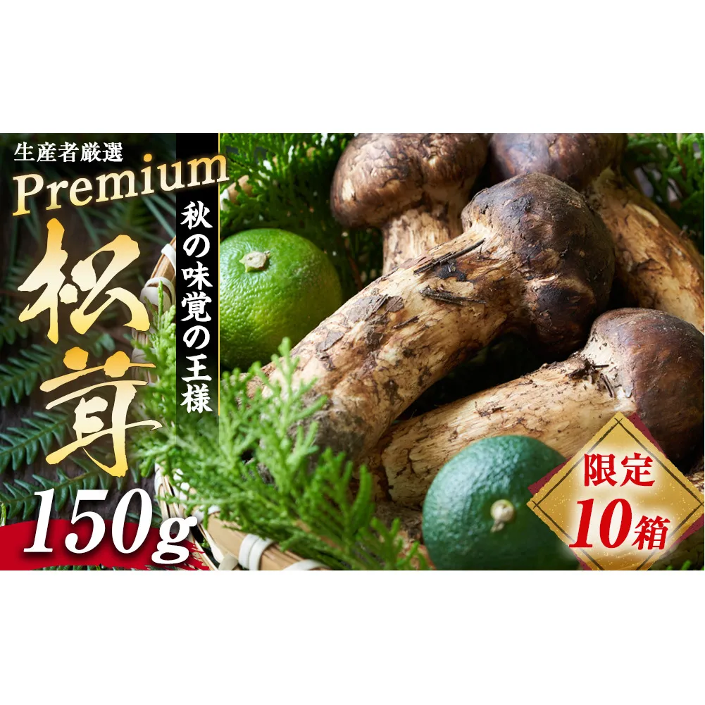 松茸 限定品 プレミアムまつたけ 150g 2本程度 きのこ キノコ 秋の味覚 野菜
