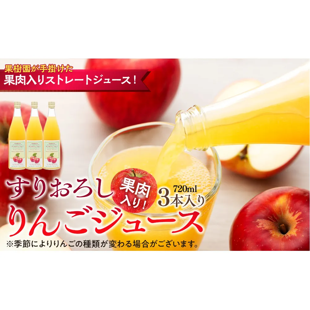 果肉入り！すりおろしりんごジュース 3本入り リンゴジュース りんご リンゴ 林檎 長野 フルーツ 果物 信州産 長野県産 特産 産地直送 おすすめ 