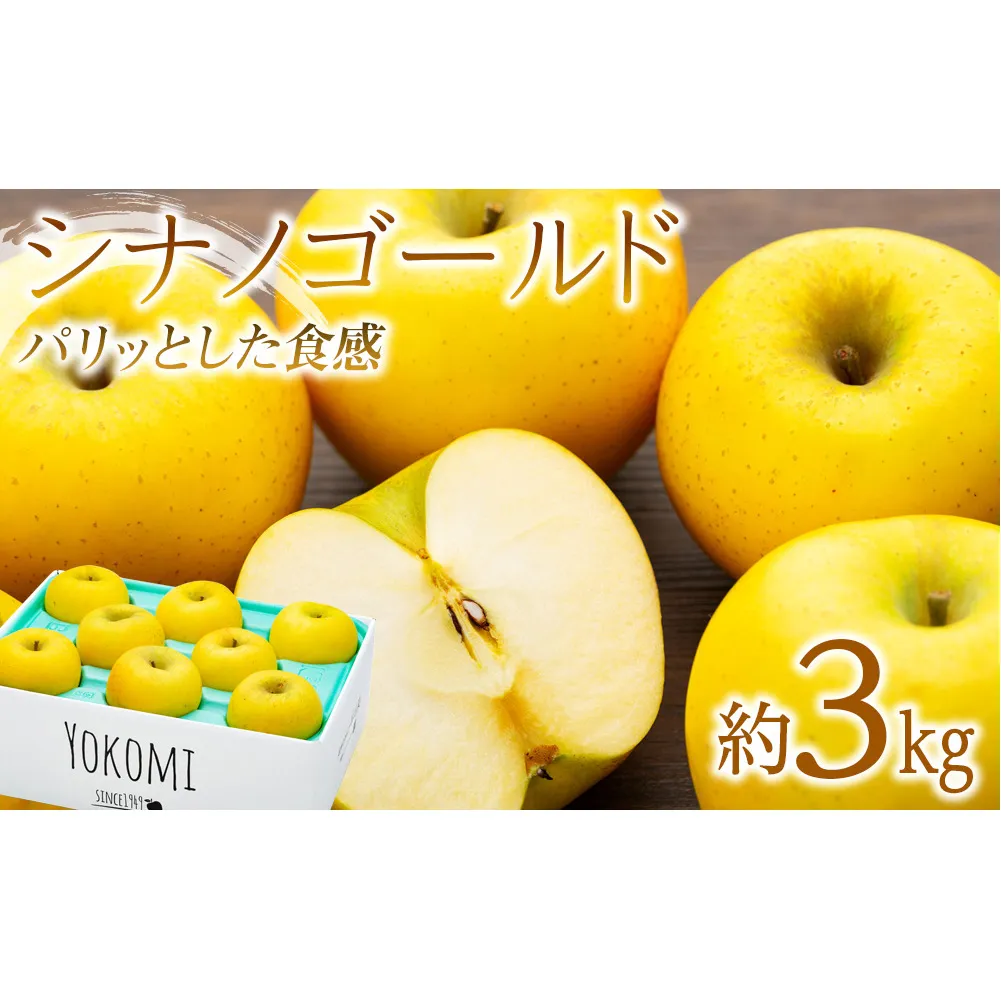 【2025年/令和7年度発送分！】パリッとした食感の シナノゴールド 約3kg りんご リンゴ 林檎 長野 フルーツ 果物 信州産 長野県産 特産 産地直送 おすすめ 