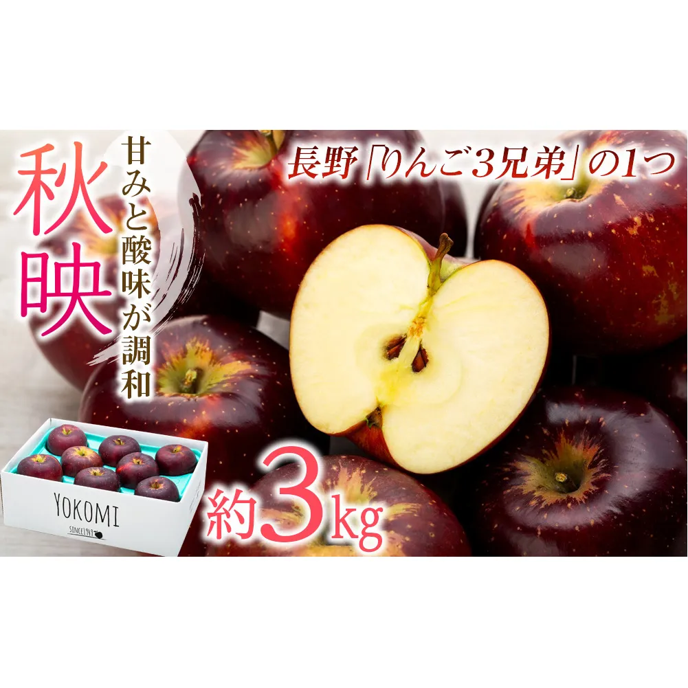 【2025年/令和7年度発送分！】信州のりんご 秋映 約3kg りんご リンゴ 林檎 長野 フルーツ 果物 信州産 長野県産 特産 産地直送 おすすめ 