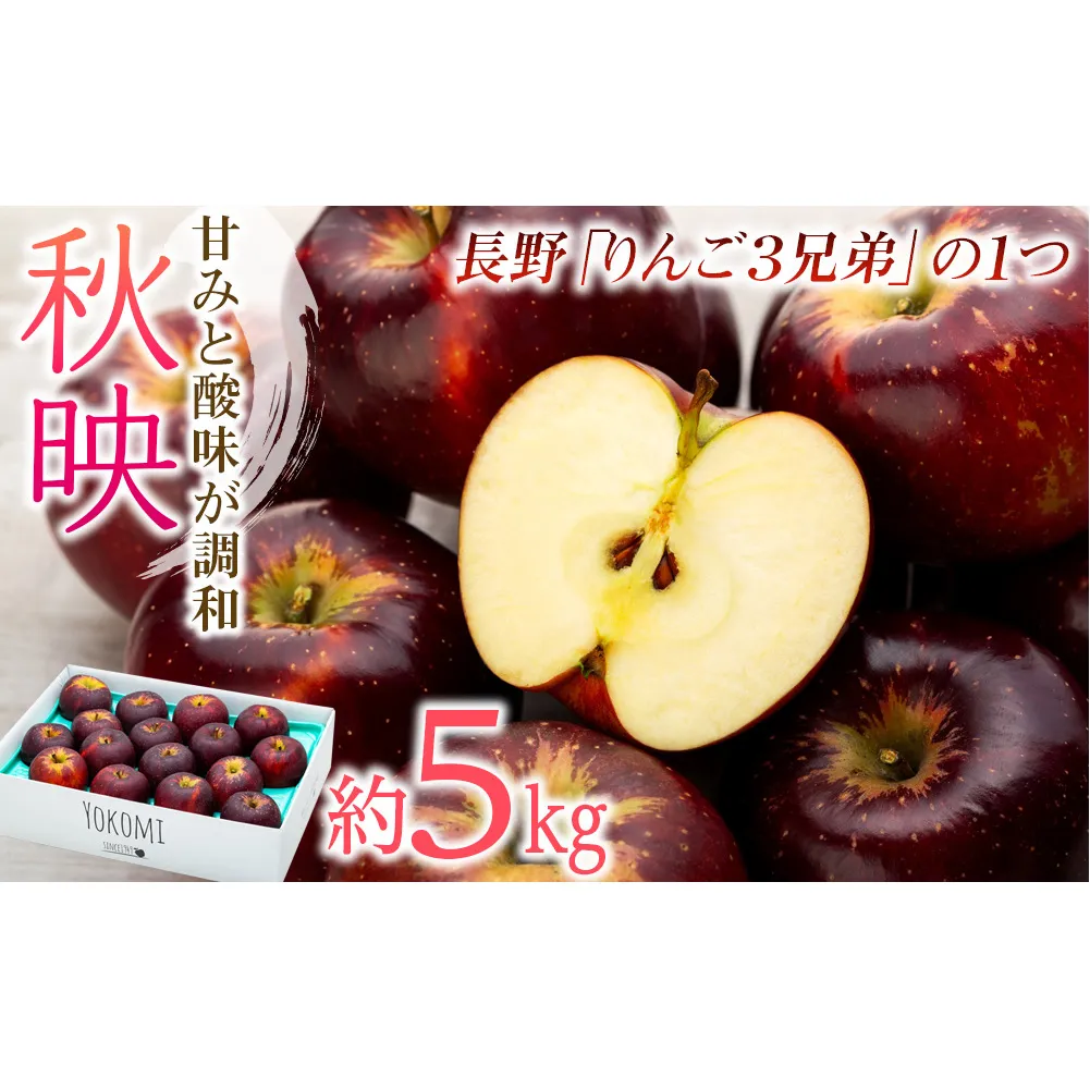 【2025年/令和7年度発送分！】信州のりんご 秋映 約5kg りんご リンゴ 林檎 長野 フルーツ 果物 信州産 長野県産 特産 産地直送 おすすめ 