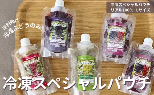 TK25 ぶどう 冷凍スペシャルパウチ リアル100％ Lサイズ（95g） 5個