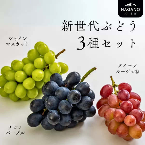 TK05 ぶどう3種セット プレミアムスリー（クイーンルージュ🄬／シャインマスカット／ナガノパープル）約1.5kg／2026年9月中旬頃～9月下旬配送予定