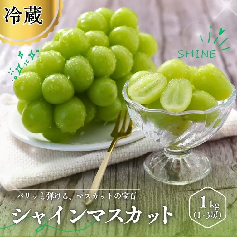 MS30 ぶどう シャインマスカット（長野県産秀品） 約1kg / 2026年9月下旬～11月上旬頃 配送予定