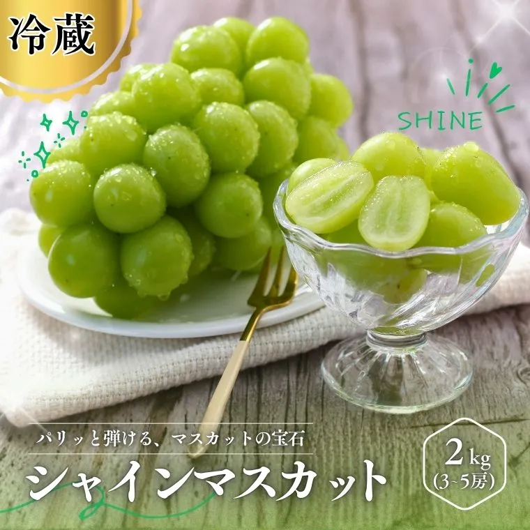 MS31 ぶどう シャインマスカット（長野県産秀品） 約2kg / 2026年9月下旬～11月上旬頃 配送予定//種なし 皮ごと 葡萄 ブドウ ぶどう 長野県 南信州 シャイン マスカット 大粒 甘い 葡萄 人気 新鮮
