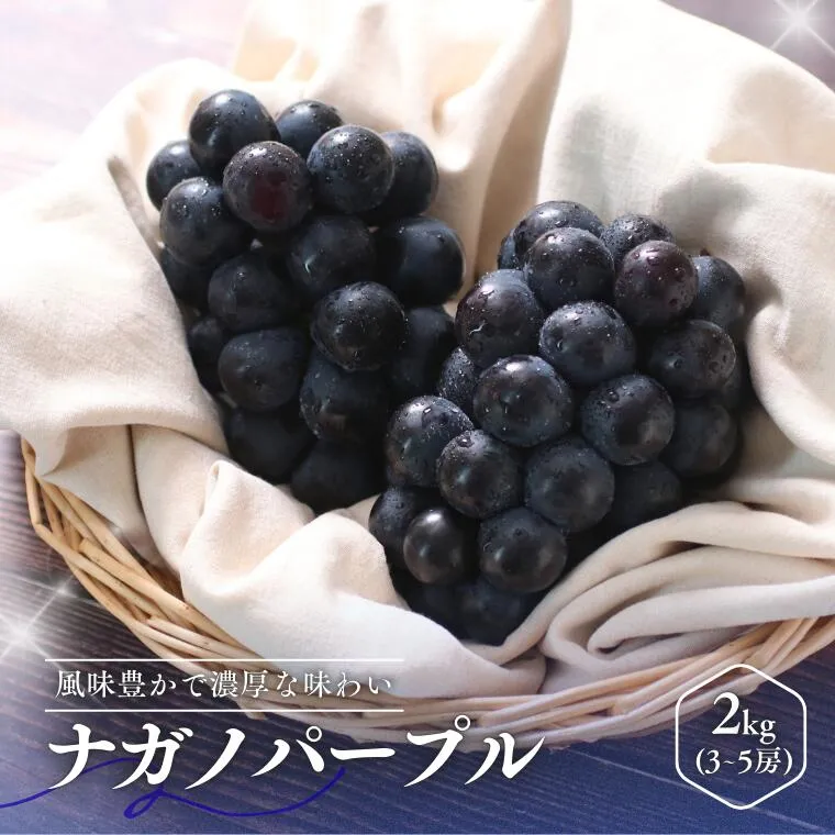 MS33 ぶどう ナガノパープル (長野県産秀品) 約2kg / 2026年8月下旬~10月上旬頃 配送予定//種なし 皮ごと 葡萄 ブドウ ぶどう ナガノ パープル 南信州 長野県 オリジナル品種 稀少