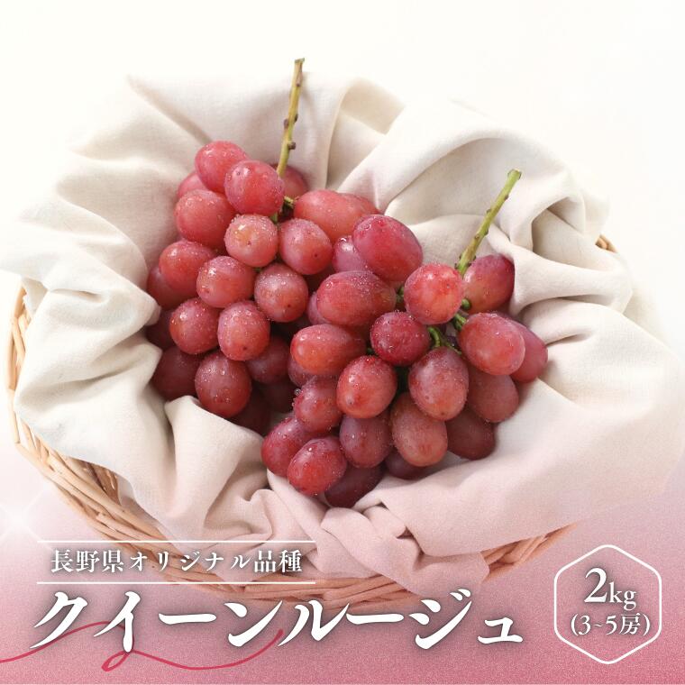 MS35 ぶどう クイーンルージュ®(長野県産秀品) 約2kg / 2026年10月中旬~11月上旬頃 配送予定//稀少 新品種 長野県 南信州 高糖度 葡萄 ブドウ クインルージュ 甘い 種なし 皮ごと