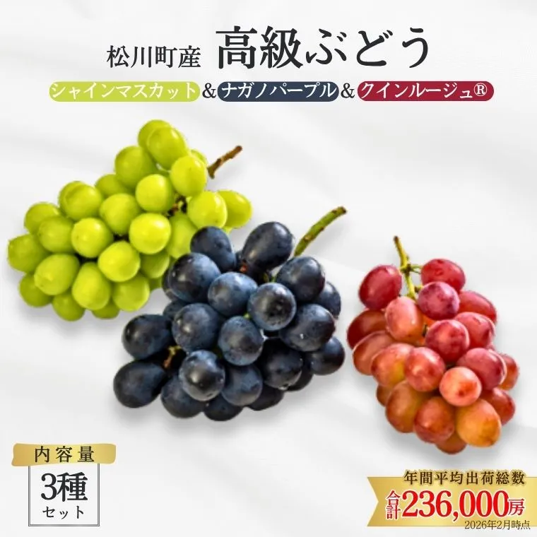 ぶどう3種セット プレミアムスリー（クイーンルージュ🄬／シャインマスカット／ナガノパープル）約1.5kg／2026年9月中旬頃～9月下旬配送予定［TK05］//3種セット 長野県 南信州 種なし 皮ごと 食べ比べ 詰め合わせ 贈答 ギフト 新鮮 希少