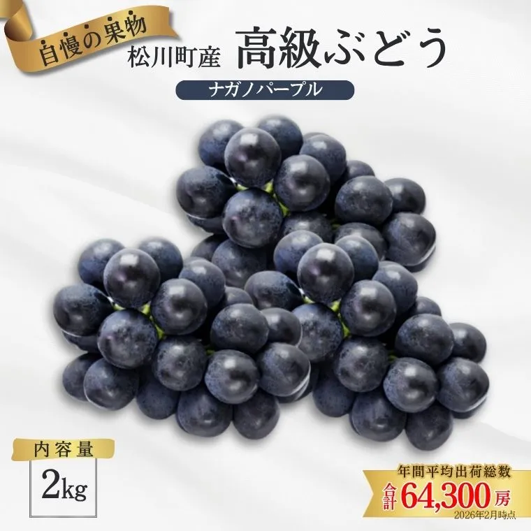 ぶどう ナガノパープル 約2kg ／2026年8月中旬頃～10月頃配送予定［TK07］//長野県 南信州 松川町産 種なし 皮ごと 南信州 長野県 オリジナル品種 稀少 高糖度 高品質 人気 贈答 ギフト