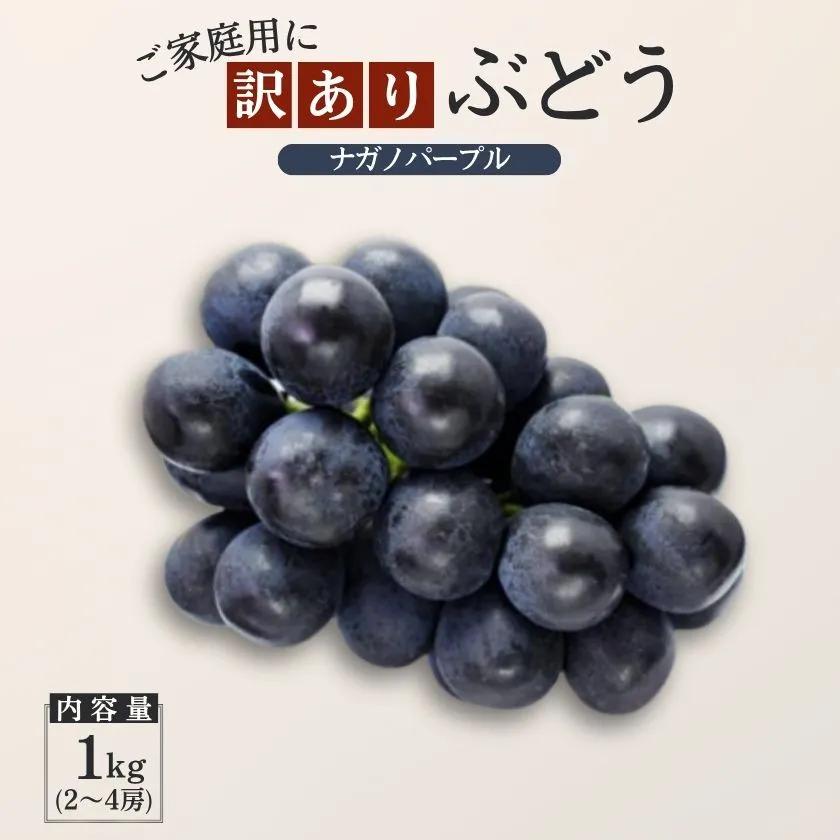 ぶどう ナガノパープル【家庭用】 約1kg ／2026年8月中旬～10月頃配送予定［TK18］//長野県 南信州 松川町産 種なし 皮ごと 南信州 長野県 オリジナル品種 稀少 高糖度 高品質 人気 贈答 ギフト