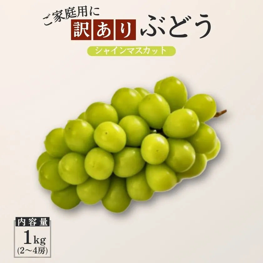 ぶどう シャインマスカット 【家庭用】 約1kg ／2026年9月中旬～10月頃 配送予定［TK19］//長野県 南信州 松川町産 種なし 皮ごと 南信州 長野県 オリジナル品種 稀少 高糖度 高品質 人気 家庭用