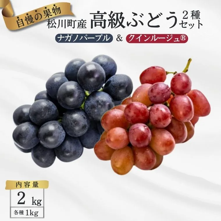 ぶどう2種セット （ナガノパープル・クイーンルージュ®） 約2kg 贈答 ／ 2026年9月中旬～10月頃 配送予定 [TK31]//長野県 南信州 種なし 葡萄 ぶどう マスカット フルーツ 果物 高評価 セット ナガノパープル クイーンルージュ 高品質 贈答 ギフト お取り寄せ 詰め合わせ 
