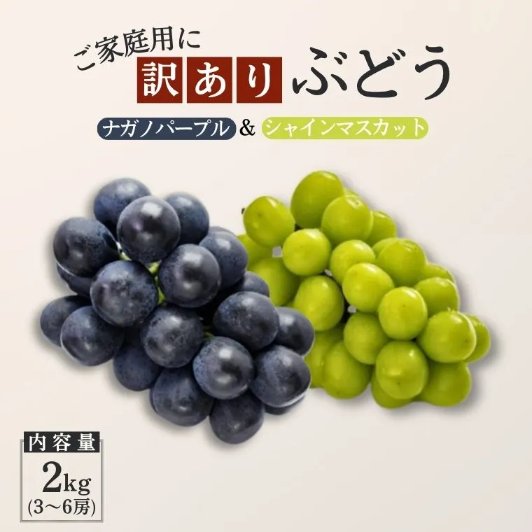 【家庭用】 ぶどう2種セット （ナガノパープル・シャインマスカット） 約2kg[TK35] ／ 2026年9月中旬～10月上旬頃 配送予定//長野県 南信州 種なし 葡萄 セット ナガノパープル シャイン マスカット お試し 訳あり お取り寄せ