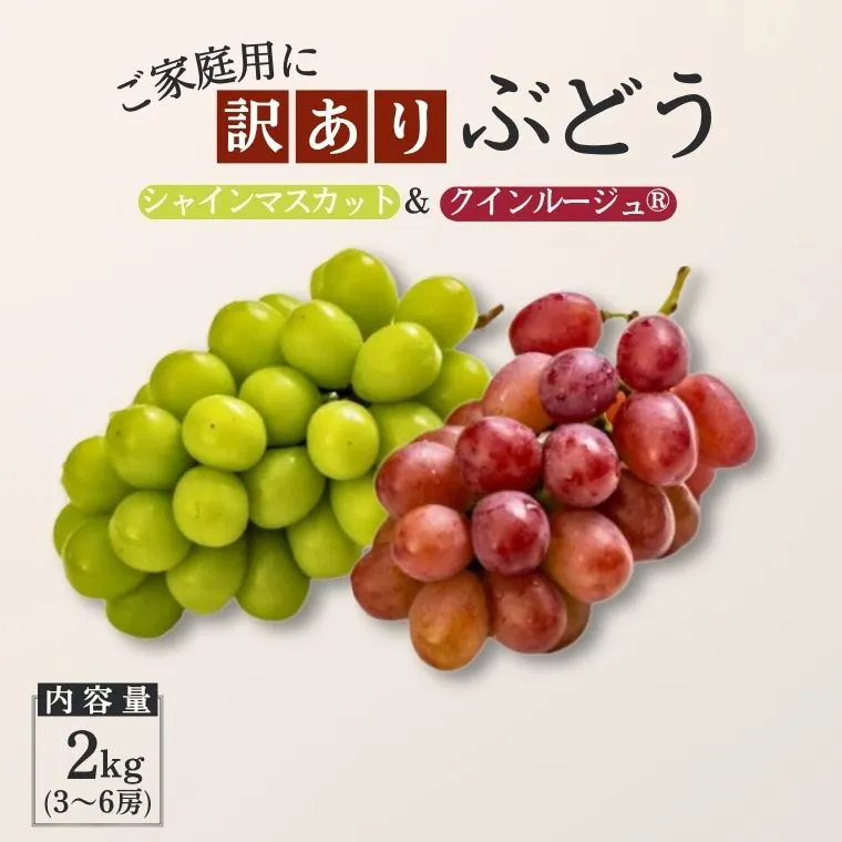 【家庭用】ぶどう2種セット（シャインマスカット／クイーンルージュ®）約2kg[TK36] ／ 2026年9月下旬～10月頃 配送予定//長野県 南信州 種なし 皮ごと 食べ比べ 詰め合わせ お試し 訳あり お取り寄せ シャイン マスカット ルージュ クイーン 新鮮 希少