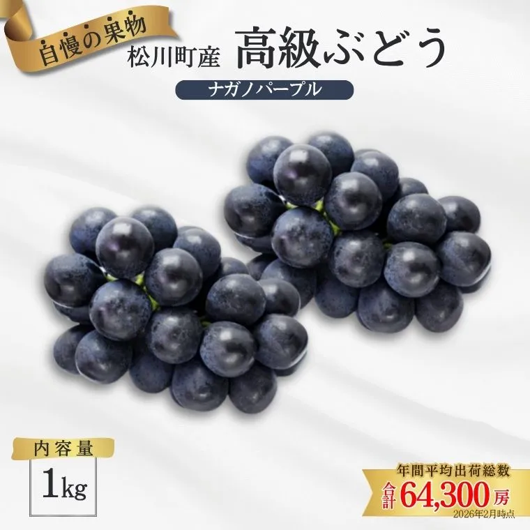 ぶどう ナガノパープル 約1kg ／2026年8月中旬頃～10月頃 配送予定［TK34］//長野県 南信州 松川町産 種なし 皮ごと 南信州 長野県 オリジナル品種 稀少 高糖度 高品質 人気 贈答 ギフト