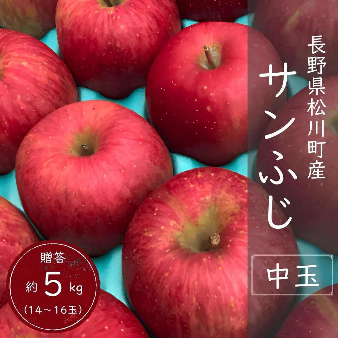 KR15 サンふじ 贈答 中玉 約5kg(14~16玉) 長野県松川町産/11月下旬頃~配送予定//長野県 南信州 リンゴ 林檎 ギフト ふじ さんふじ 農家直送 農家支援 産地直送
