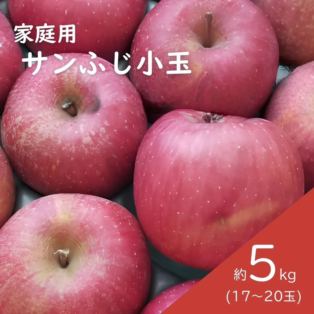 KR18 サンふじ 家庭用 小玉 約5kg(17~20玉) 長野県松川町産/11月下旬頃~配送予定//長野県 南信州 リンゴ 林檎 ふじ さんふじ 小玉サイズ 訳あり 自家用 農家直送 農家支援 産地直送