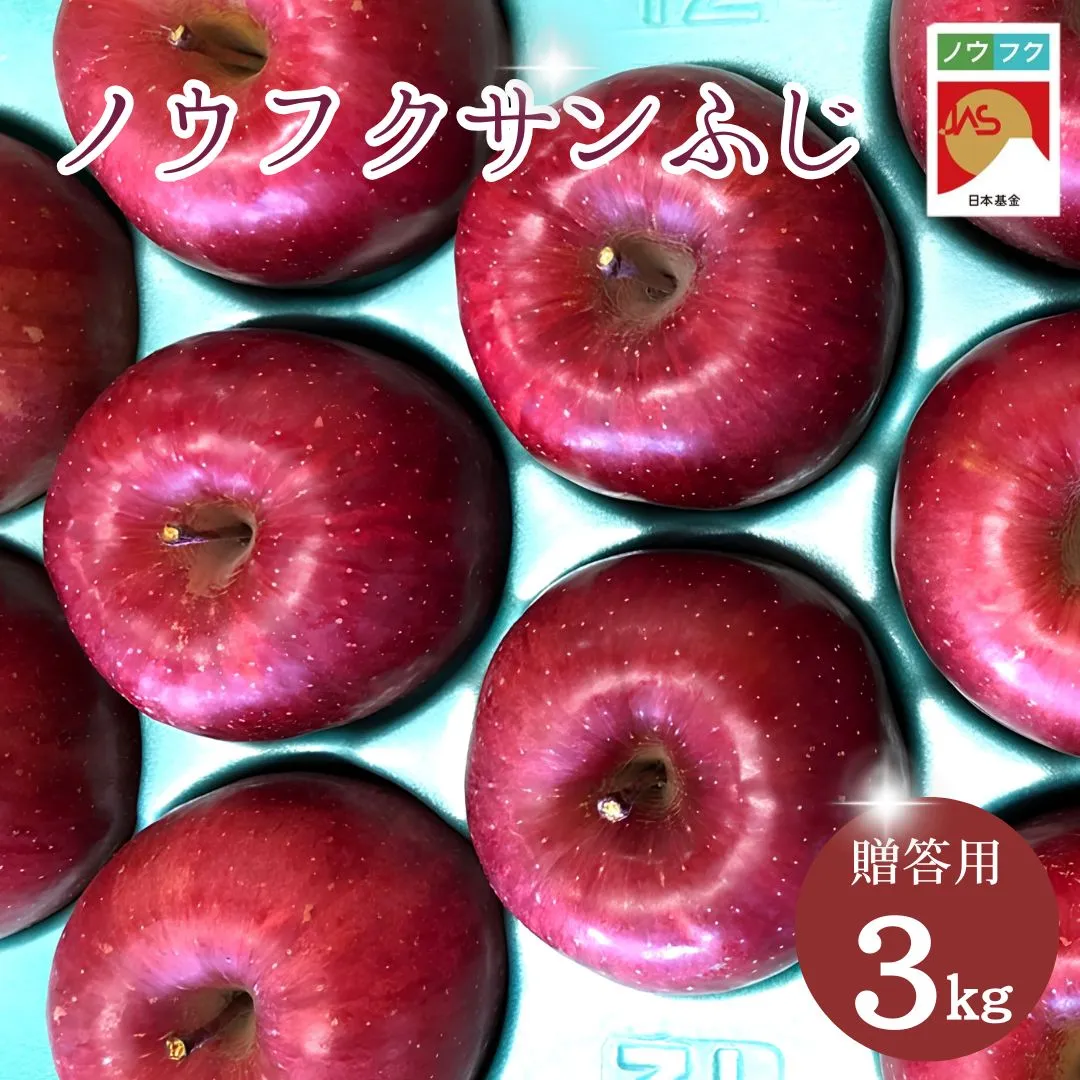 WF07　ノウフクサンふじ 贈答 約3kg / 2026年11月下旬～12月下旬ごろ配送予定//長野県 南信州 松川町産 JAS認証 りんご リンゴ 林檎 ノウフク 農福連携 サンふじ ふじ 贈答