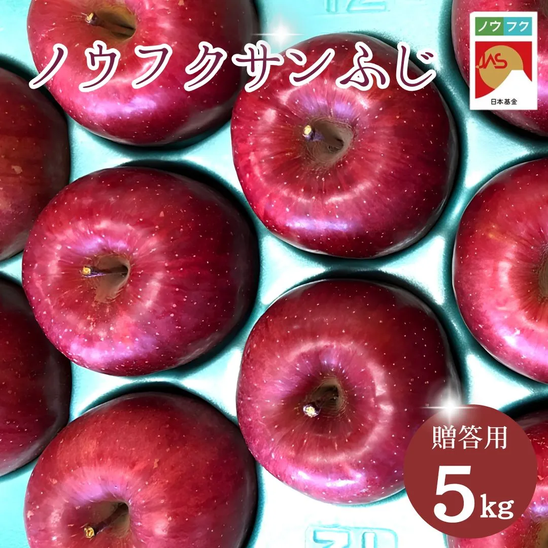 WF08　ノウフクサンふじ 贈答 約5kg / 2026年11月下旬～12月下旬ごろ配送予定//長野県 南信州 松川町産 JAS認証 りんご リンゴ 林檎 ノウフク 農福連携 サンふじ ふじ 贈答