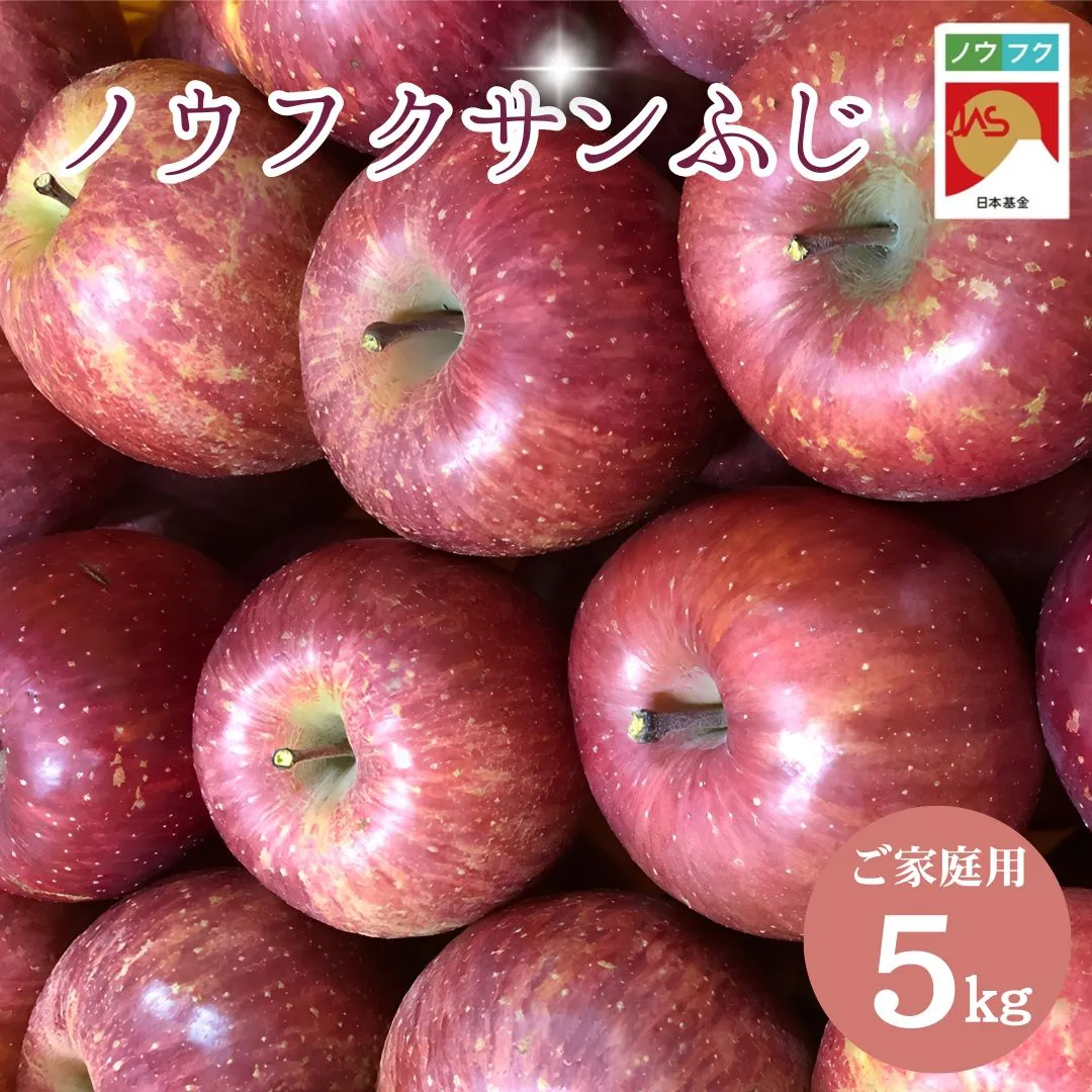 WF10　ノウフクサンふじ 家庭用 約5kg / 2026年11月下旬～12月下旬ごろ配送予定//長野県 南信州 松川町産 JAS認証 りんご リンゴ 林檎 ノウフク 農福連携 サンふじ ふじ 家庭用 自家用