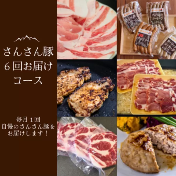 SF07-25C さんさん豚6回お届けコース／（翌月より6ヶ月）// 長野県産豚肉 南信州 ポーク ステーキ バークシャー種 薄切り 味噌漬け 安全 安心 定期便 毎月届く 贈答 ギフト