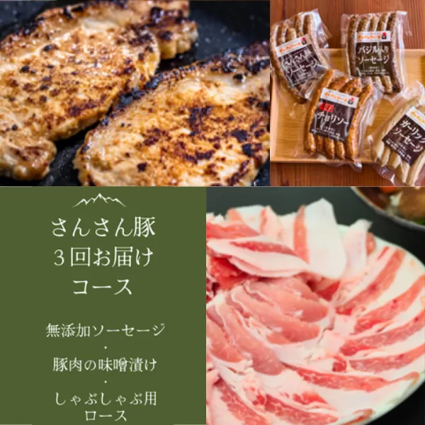 SF06-25C さんさん豚3回お届けコース ／（翌月より3ヶ月）// 長野県産豚肉 南信州 ポーク ステーキ バークシャー種 薄切り 味噌漬け 安全 安心 定期便 毎月届く 贈答 ギフト