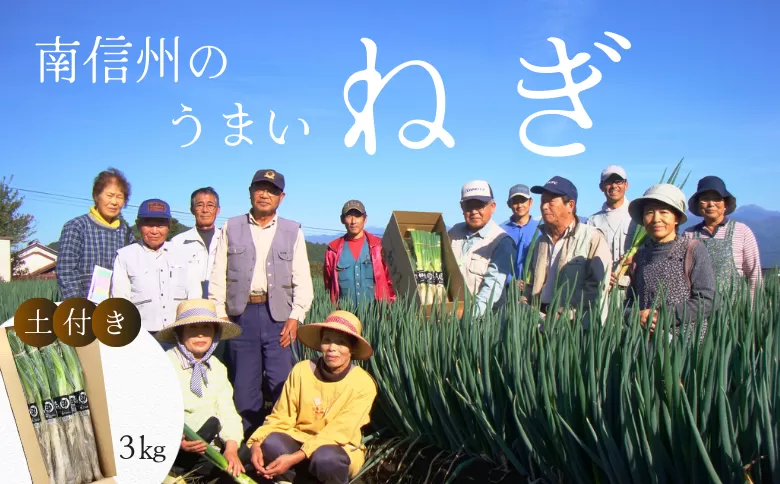 JA24-25B 土付きねぎ 約3kg / 2025年12月中旬〜2026年2月上旬頃配送予定 // 長野県 南信州産 野菜 信州野菜 新鮮 長ネギ ネギ 長ねぎ 白ねぎ 白ネギ