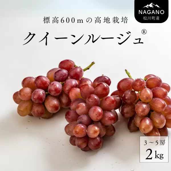 TK08-25A ぶどう クイーンルージュ® 約2kg／2025年9月下旬頃～配送予定 // 稀少 新品種 長野県 南信州 高糖度 葡萄 クインルージュ 甘い 種なし 皮ごと