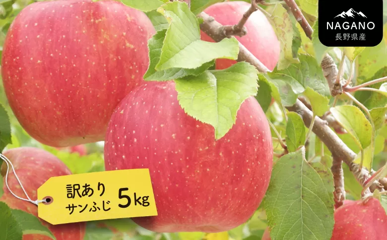 MS17 りんご サンふじ（長野県産訳あり品） 約5kg / 2027年1月上旬～2月上旬頃 配送予定