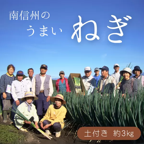 JA24-25B 土付きねぎ 約3kg / 2025年12月中旬〜2026年2月上旬頃配送予定 // 長野県 南信州産 野菜 信州野菜 新鮮 長ネギ ネギ 長ねぎ 白ねぎ 白ネギ