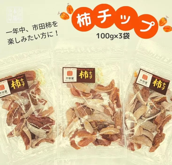 TS06-25A 市田柿 柿チップ（約100g×3袋）// 長野県 南信州 干し柿 市田柿 ドライフルーツ 健康 ひとくちサイズ チップ