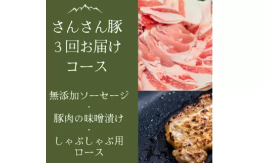 SF06-24C さんさん豚3回お届けコース （翌月より3ヶ月）//  長野県産豚肉 南信州 ポーク ステーキ バークシャー種 薄切り 味噌漬け 安全 安心 定期便 毎月届く 贈答 ギフト