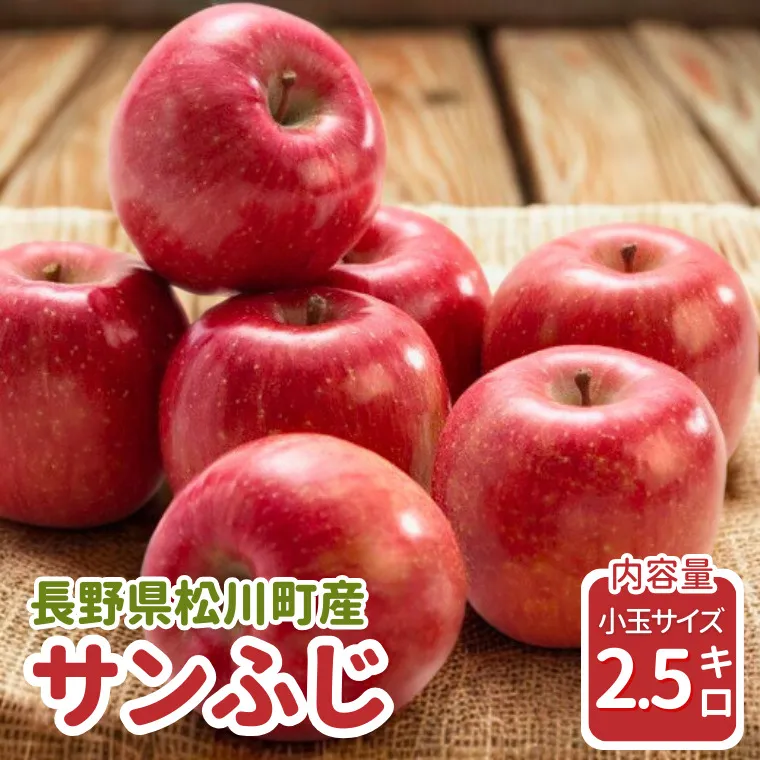 りんご サンふじ（小玉）約2.5kg / 2026年11月下旬～12月上旬ごろ配送予定[JA34]//長野県 南信州 贈答 ギフト お歳暮 ふじ フジ さんふじ 新鮮 林檎 リンゴ サンフジ
