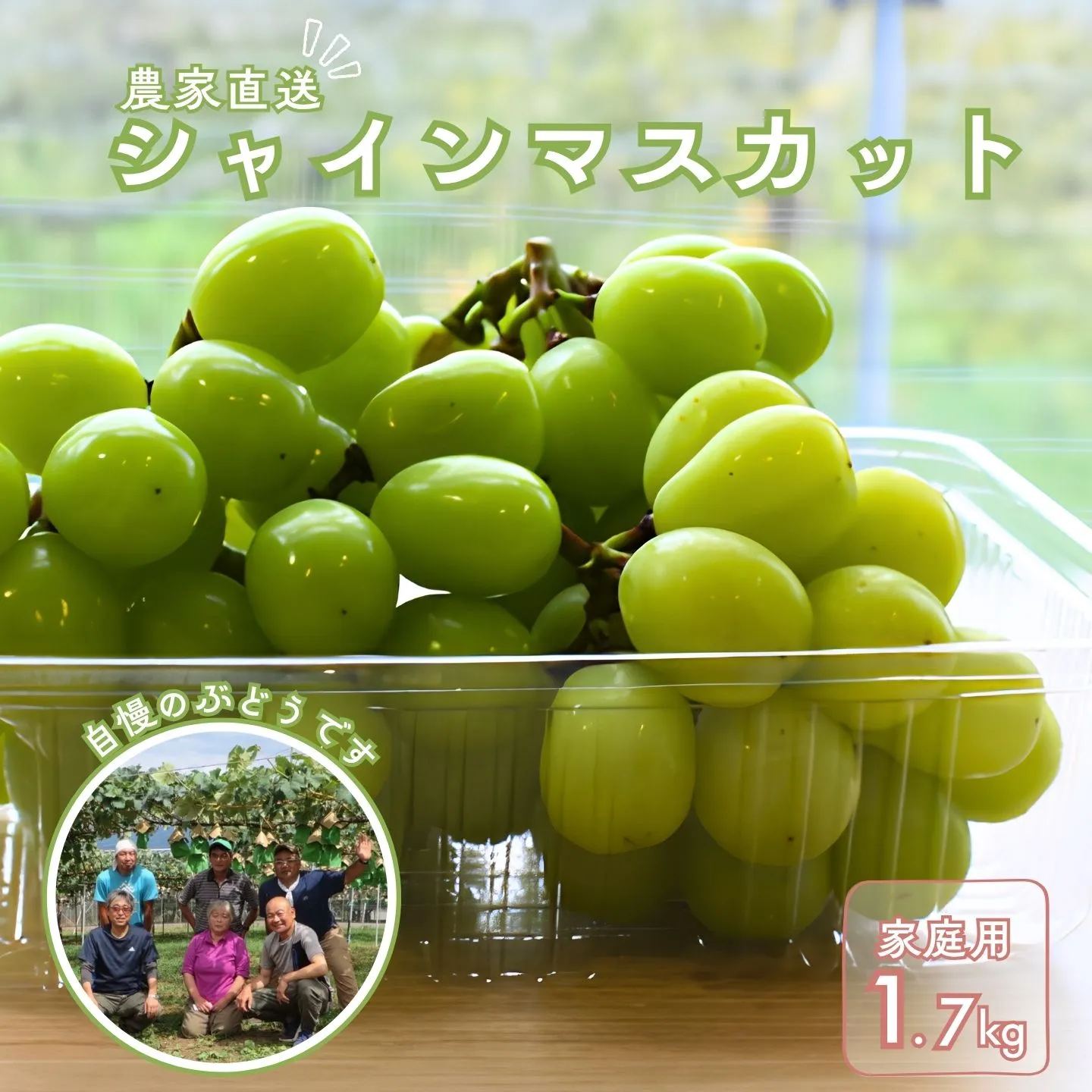 シャインマスカット 家庭用 約1.7kg 長野県松川町産[KG16]//果物 ぶどう 訳あり 産地直送